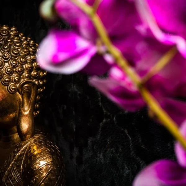 Mala Thai Massage